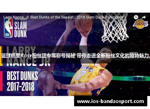 篮球明星Rose粉丝团专属称号揭秘 带你走进全新粉丝文化的独特魅力