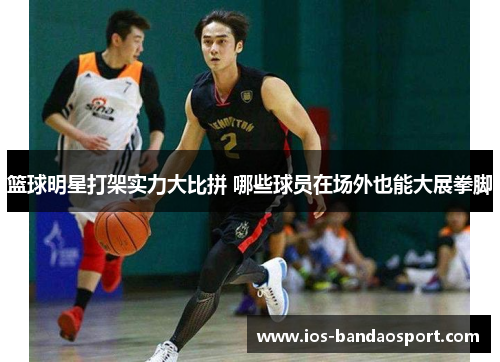 篮球明星打架实力大比拼 哪些球员在场外也能大展拳脚